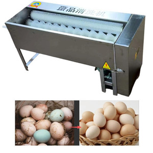 Machine à laver les œufs industrielle et commerciale automatique, nettoyeur d'œufs de canard, prix - Product Image 3