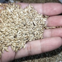Mélange de graines de tournesol de petite taille pour millet d'alpiste en vrac