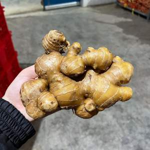 Jengibre listo para exportación desde Vietnam para los mercados de bebidas y salud en Europa y Oriente Medio - Product Image 5