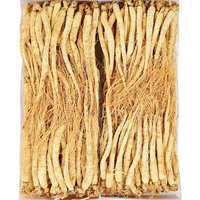 Extrait de racine de ginseng blanc sibérien de qualité supérieure, herbe traditionnelle chinoise, processus de séchage AD, traitement brut, herbes simples