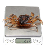Leurre de pêche en forme de crabe, appâts, jig de pêche, simulation liquide d'eau salée, poisson-crabe souple avec hameçons tranchants
