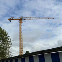 Grúa Torre de Construcción Sin Plataforma de 1.5T y 25M con Cilindro Hidráulico, Caja de Cambios y Limitador de Carga QTP20-HS2506P