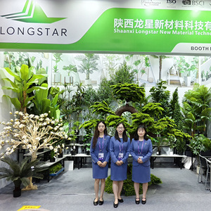 Olivier de créateur 4 pieds 5 pieds 6 pieds 7 pieds Jardinière minimaliste de verdure architecturale pour affichage intérieur et extérieur - Product Image 6