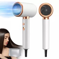 Léger 2000W Puissant Sèche-cheveux ionique négatif à faible bruit Sèche-cheveux à vent chaud pour une utilisation en extérieur Voyage Portable