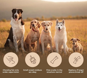 Premium Coffee Wood Tug Toy with Sustainable Hemp Rope Non-Toxic Dog Chew Stick for Dental Hygiene Pet Supplies Factory - Product Image 5