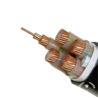 Cable 0.6/1kV WDZC-YJY YaLi de 2 Núcleos con Conductor de Aluminio, Aislamiento XLPE y Cubierta de PVC con Clasificación IP68 para Cableado Interior en Edificios de Gran Altura