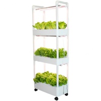 Système de culture hydroponique vertical multicouche pour la maison, écologique, auto-arrosant, suspendu, durable, léger, en ABS blanc