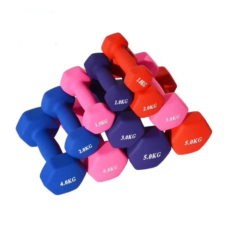 NQ Sports Conjunto de halteres de borracha de ferro de alta qualidade personalizados com diferentes níveis para exercícios musculares de 0,5-10 kg