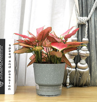 P516 Pot de plante auto-arrosant hydroponique style simple en lierre vert pour personne paresseuse