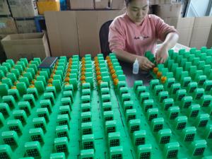 Winnel Oem Figuras <span class=keywords><strong>de</strong></span> hadas Venta al por mayor Cápsula <span class=keywords><strong>Ideas</strong></span> <span class=keywords><strong>de</strong></span> juguetes 1 8 Kits <span class=keywords><strong>de</strong></span> modelos a escala Figura Personalizada Pvc Figuras <span class=keywords><strong>DE</strong></span> <span class=keywords><strong>ACCIÓN</strong></span> marrones personalizadas - Product Image 6