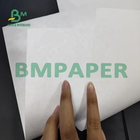 Papier Tyvek blanc enduit de 787mm de largeur 1025D pour imprimante à jet d'encre HP Cannon