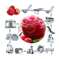 Machine complète de fabrication de confiture ORME Ligne de production de confiture de date Ligne de fabrication de confiture de fruits à vendre
