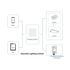 Amelech iOS/ Android/sunucu uygulaması kontrolü ZigBee ağ geçidi ve anahtarı seçeneği 1 kanallı AC L çıkış aydınlatma kontrol ağ geçidi