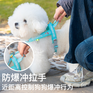 Harnais pour animaux de compagnie en forme de selle avec laisse, réglable pour petits chiens, motif imprimé jaune - Product Image 2