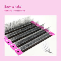 DIYDAY 5D 2.0 Extensions de cils en forme de W fabriquées à la machine, naturelles, douces, en PBT, pleines, denses, pré-faites, faciles à poser, pour salon