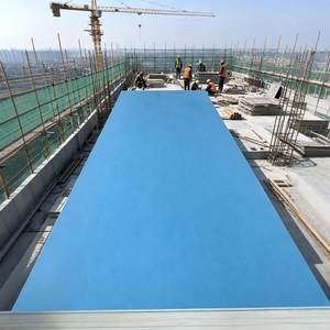 Waterproof PVC Concrete <strong>Formwork</strong> <strong>Shuttering</strong> Sheet Low Maintenance Factory Direct for Modern Architecture - Product Image 4