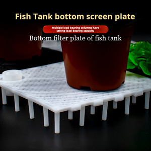 Placa <span class=keywords><strong>de</strong></span> Filtro <span class=keywords><strong>de</strong></span> Fondo para Acuario, Rectangular, Ecológica, <span class=keywords><strong>de</strong></span> Plástico, 1.5L, para Arena y Grava, Estilo Moderno, Marca Wn - Product Image 3