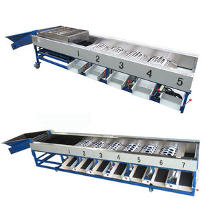 Trieuse rotative à tambour pour pommes de terre, agrumes et fruits, machine de calibrage et de tri - Product Image 3