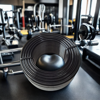 Câble de remplacement pour système de poulie de gym, 100 mètres, câble en acier épais de 4,8 mm avec revêtement TPU, machine et levage de poids WXFENGRUI 7*19
