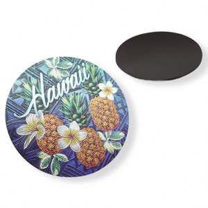 Aimant de réfrigérateur 2D en feuille transparente de haute qualité avec impression UV, souvenir touristique - Product Image 5