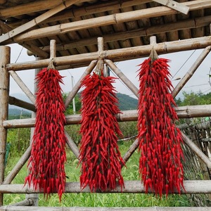 Guirnaldas de chiles artificiales, flores de seda, decoraciones rojas secas para exteriores, accesorios para restaurantes rústicos - Product Image 1
