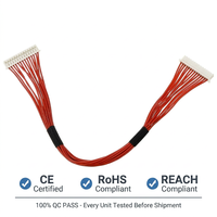 Produsen Perakitan Kabel Harness Listrik Kustom untuk Harness Kabel Lampu dengan Harness Kabel Internal Relay