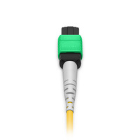 Cordon de raccordement fibre optique 1mOS2 FTTH 12 cœurs MTP-12 APC femelle vers 2xMTP-4 APC femelle cavalier de conversion monomode