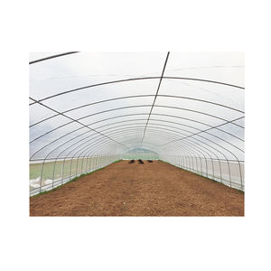 <span class=keywords><strong>Casa</strong></span> <span class=keywords><strong>verde</strong></span> de plástico <span class=keywords><strong>La</strong></span> Venta caliente más barata Agrícola/Comercial/Industrial Película de plástico Invernadero Túnel Caminar en <span class=keywords><strong>casa</strong></span> - Product Image 6