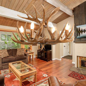 Электрическая сушилка для обуви в скандинавском ретро-стиле с рогами оленя для ресторанов, кафе, гостиных, баров и домашнего использования - Product Image 2