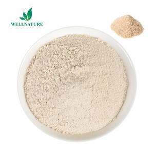 Polvo de Cáscara de <span class=keywords><strong>Psyllium</strong></span> de Grado Alimenticio a Granel, Suplemento de Fibra al 99%, Envase de 1 kg en Lata/Tambor - Product Image 3