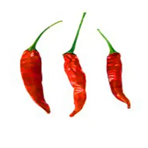 Best quality bulk dried chili pepper factory sanying chili