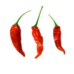 Beste Qualität Bulk getrockneten Chili Pfeffer Fabrik Sanying Chili