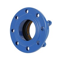 Raccord flexible universel en acier au carbone, adaptateur de raccordement à bride, norme ISO2531 EN545 PN10-PN25, peint