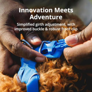 เสื้อกั๊กสุนัขน้ำหนักเบาสะท้อนแสงนุ่มและทนทานสามารถปรับแต่งขนาดได้ตามต้องการ - Product Image 4