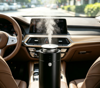 Diffuseur de parfum pour voiture en alliage d'aluminium, petit format, élégant, contrôle à trois positions, avec fonctions voiture et maison
