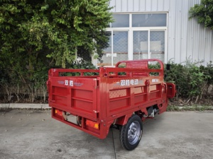 Tricycle électrique Sunsen 1,6 m, <span class=keywords><strong>moto</strong></span> <span class=keywords><strong>cargo</strong></span> à trois roues, tricycle électrique pour le transport de marchandises - Product Image 6
