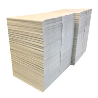 170G-400G Ivoor Board/Sbs Board Fbb Gecoat Papier Voor Papier Cup Ivorype Gecoat Papier Board