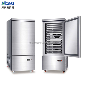 Refrigerador y Congelador Profesional de Acero Inoxidable, Apto para Hoteles y Carnicerías, Modelo Vertical de Baja Temperatura - Product Image 3