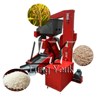 Mini moulin à riz 5-en-1, machine à décortiquer le riz 500 kg/h, usage domestique, système complet multifonctionnel en fonte, alimenté par moteur