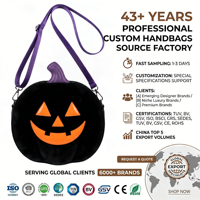 Tas Selempang Beludru Oranye Hitam Ungu dengan Ritsleting Mewah Elegan Halloween Kasual Harian Chic Wanita Tas Selempang OEM Kustom