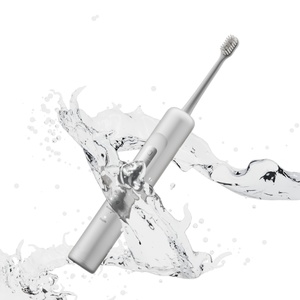 Caja de Regalo Exclusiva en Línea, <span class=keywords><strong>Cepillo</strong></span> de Dientes Eléctrico Waterpike, <span class=keywords><strong>Cepillo</strong></span> de Dientes Eléctrico Inglés IPX7, El Mejor <span class=keywords><strong>Cepillo</strong></span> de Dientes Eléctrico - Product Image 2