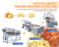 Ligne de production de machines à éplucher les pommes de terre et les carottes, de laver les betteraves à bulles, de couper et hacher les légumes, capacité 300 kg/h