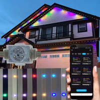 Twinklight ip68 extérieur étanche UCS2904 2811 RGBW rgbw permanent vacances décoration de noël lumière pixel led point lumineux