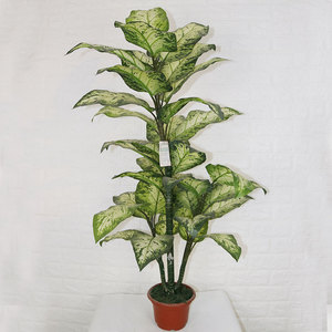 Vente en gros <span class=keywords><strong>de</strong></span> plantes artificielles en bonsaï Rohdea Japonica, petites plantes en pot, décoration intérieure pour le bureau et les magasins - Product Image 1