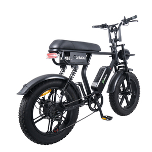 Biciclette Elettriche 20\" 250W 25km/h Omologate per Strada per Nuova Zelanda Europa Australia E-bike con Pneumatici Larghi per Adulti Fatbike - Product Image 4