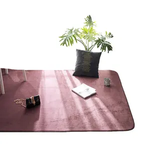 홈 장식 럭셔리 현대 단색 지역 카펫 거실 침실 대형 부드러운 미끄럼 방지 바닥 카펫 깔개