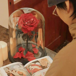 INS en çok satan büyük tek korunmuş güller akrilik kutu kubbe ile sevgililer günü mezuniyet için evlilik için kafes içinde kök - Product Image 3