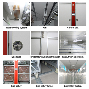Incubadora de túnel comercial multietapa automática con sistema de carro de huevos, equipo industrial para criaderos de aves de corral - Product Image 4