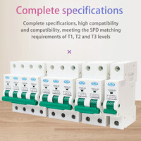 Fournisseur chinois fiable 1P SCB 40kA-80kA 230/400VAC certifié CE HANDELE HDSCB-II80 Disjoncteur spécial contre les surtensions