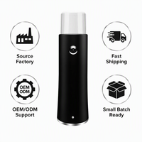 Vaporizador Facial Portátil USB de Marca Privada para Uso Personal en el Automóvil, Rociador de Niebla Facial con Tecnología Nano Ultrasónica para el Cuidado de la Piel